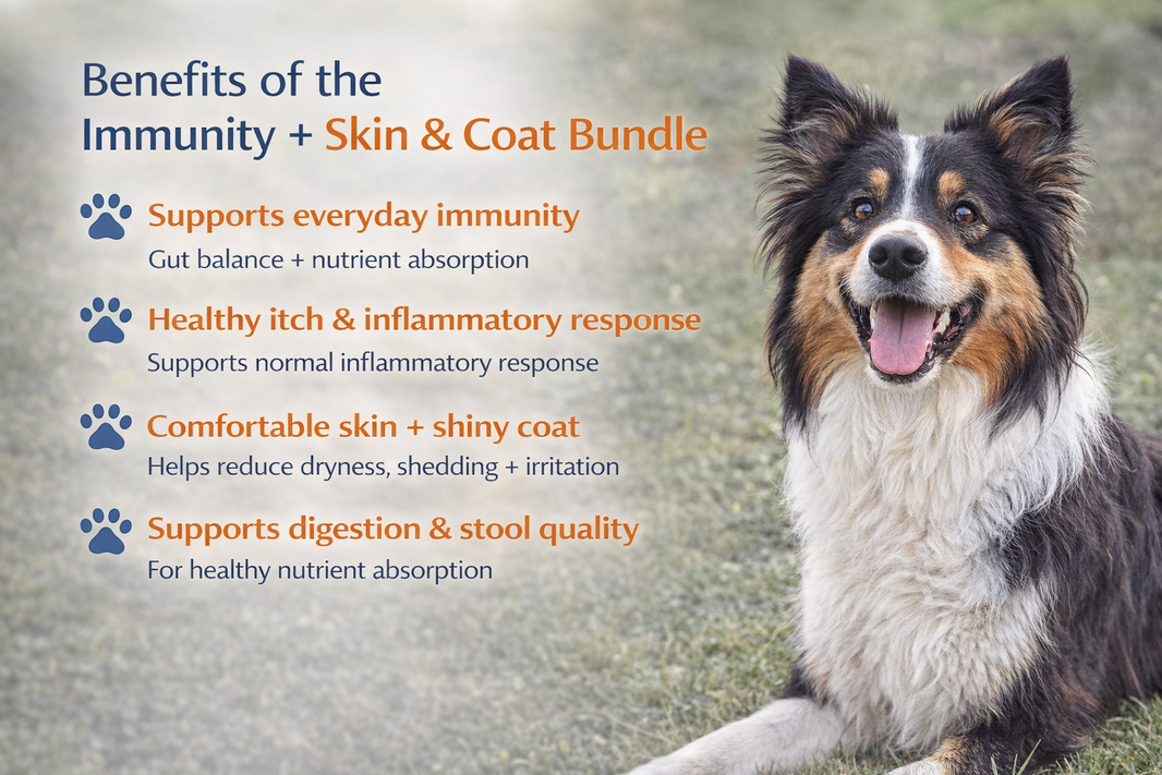 Immunity + Skin & Coat Bundle (Probiotics + Omega 3-6-9)