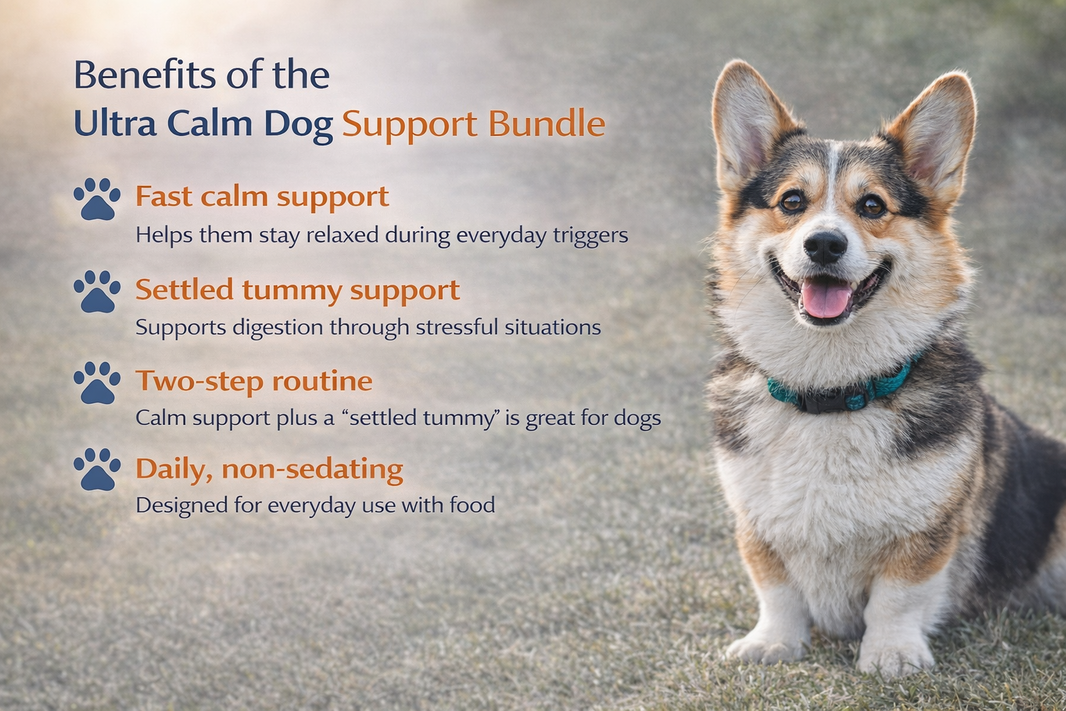 Ultra Calm Dog Support Bundle — Calming Complex + Probiotics (120 Tablets Each) | Save 10%
